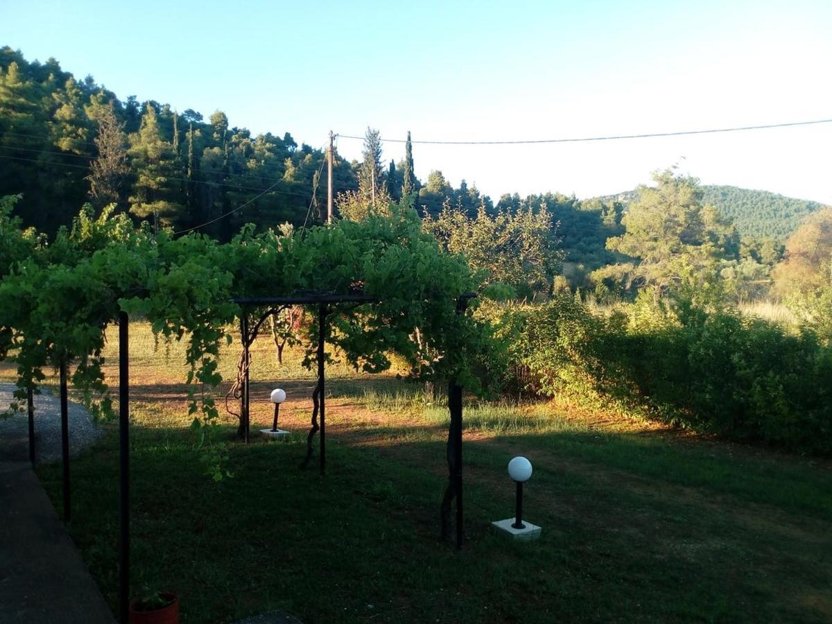 Villa Sandra Panormos  ภายนอก รูปภาพ